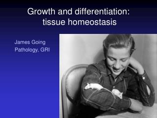 Growth and differentiation: tissue homeostasis