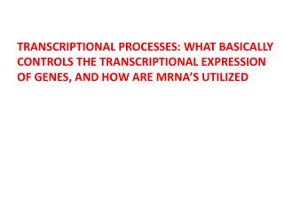 TRANSCRIPTIONAL PROCESSES: WHAT BASICALLY CONTROLS THE TRANSCRIPTIONAL EXPRESSION OF GENES, AND HOW ARE MRNA’S UTILIZED