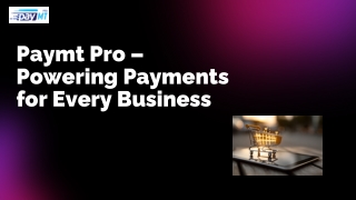 Paymt Pro – Powering Payments for Every Business