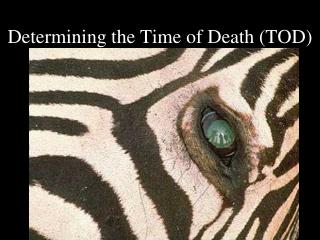 Determining the Time of Death (TOD)