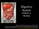 Digestive System PARTE 2: Motility