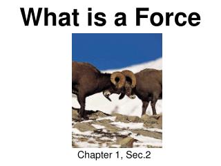 What is a Force