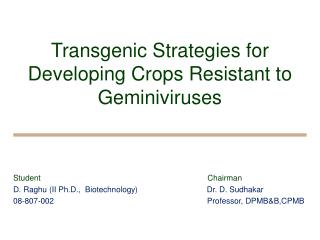 Transgenic Strategies for Developing Crops Resistant to Geminiviruses