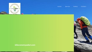 Kilimanjaro day trip and trekking