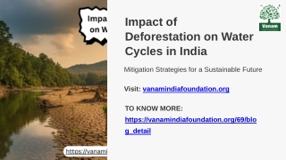 Impact of Deforestation on Water Cycles in India and Mitigation Strategies for a Sustainable Future