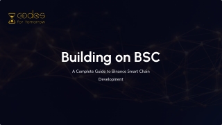 Binance Smart Chain Development Services