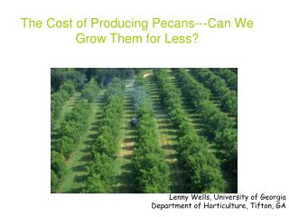 The Cost of Producing Pecans---Can We Grow Them for Less?