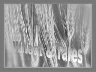 Wheat &amp; Tares