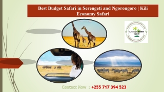 Best Budget Safari in Serengeti and Ngorongoro
