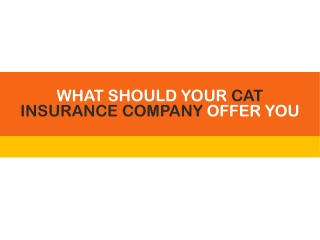 What Should Your Cat Insurance Company Offer You