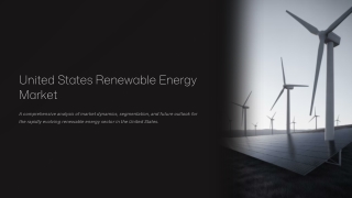 US Renewable Energy Market Size, Share & Forecast 2025-2033