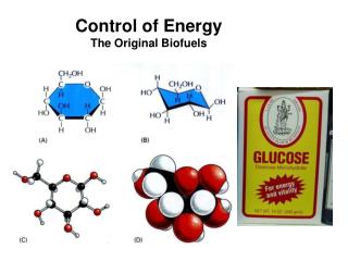 Control of Energy The Original Biofuels