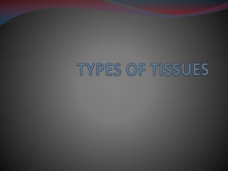 TYPES OF TISSUES