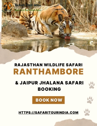 Safari Tour India | Ranthambore & Jaipur Jhalana Safari Booking