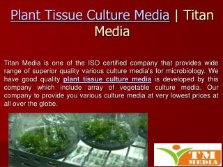 Plant Tissue Culture Media - What Are The Uses In Growing Mi