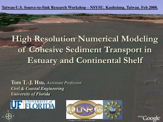 High Resolution Numerical Modeling of Cohesive Sediment Transport in Estuary and Continental Shelf