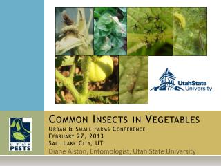 Common Insects in Vegetables Urban & Small Farms Conference February 27, 2013 Salt Lake City, UT