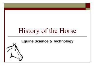 History of the Horse