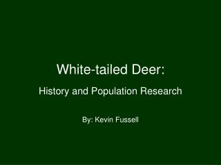 White-tailed Deer: