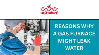 Reasons Why a Gas Furnace Might Leak Water