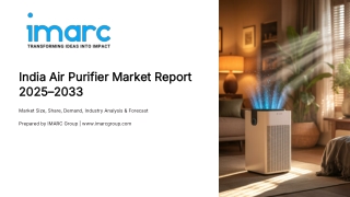 India Air Purifier Market Research Report and Industry Forecast 2025-2033
