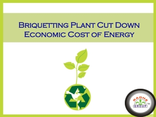 Biomass Briquetting Plant Cut Down Economic Cost of Energy