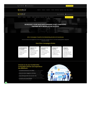 Zoho Campaigns Email Automation Guide