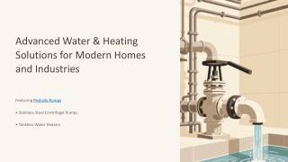 Innovative Water & Heating Solutions with Pedrollo Pumps and Stainless Steel Cen