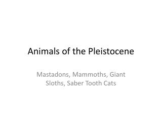 Animals of the Pleistocene