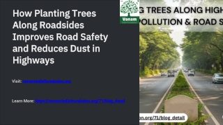 How Planting Trees Along Roadsides Improves Road Safety and Reduces Dust in Highways