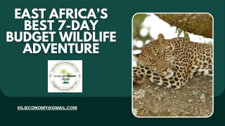 East Africa’s Best 7-Day Budget Wildlife Adventure