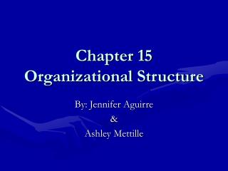 Chapter 15 Organizational Structure