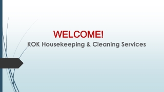 Best Domestic Cleaning services in Harlow