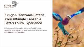 Kimgoni Tanzania Safaris Your Ultimate Tanzania Safari Tours Experience