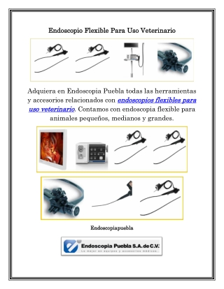 Endoscopio Flexible Para Uso Veterinario