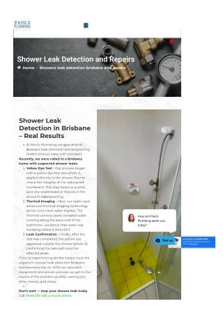 paulsplumbing-com-au-shower-leak-detection-and-repairs-...