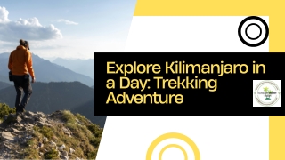 Explore Kilimanjaro in a Day Trekking Adventure
