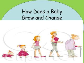 How Does a Baby Grow and Change