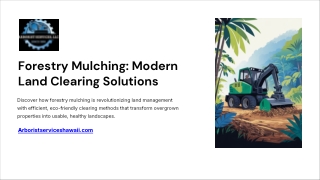 Forestry-Mulching-Modern-Land-Clearing-Solutions