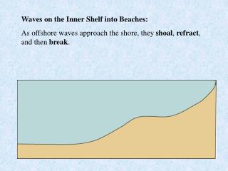 Waves on the Inner Shelf into Beaches: As offshore waves approach the shore, they shoal , refract , and then break .
