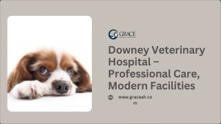 Downey Veterinary Hospital – Professional Care, Modern Facilities