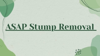 Tree Stump Grinding & Removal Experts