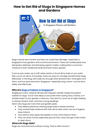 How to Get Rid of Slugs in Singapore Homes and Gardens