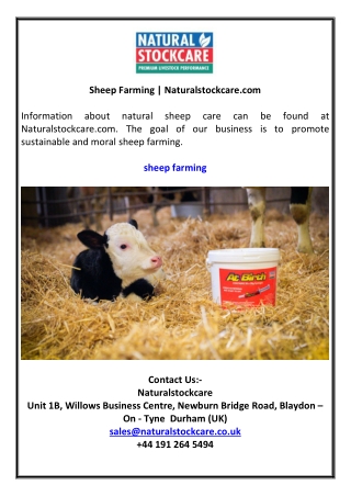 Sheep Farming | Naturalstockcare.com