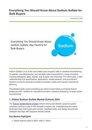 Everything You Should Know About Sodium Sulfate: Key Factors for Bulk Buyers