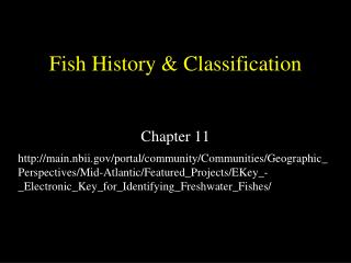 Fish History &amp; Classification