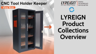 Premium Vertical Tool Holder Cabinet for Safe Storage  LYREIGN China