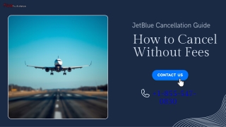 Cancel JetBlue Flight Free  Step-by-Step Guide  1-855-547-0830