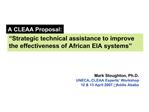 Strategic technical assistance to improve the effectiveness of African EIA systems