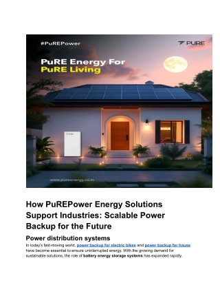 1.PurePower Industries (2)